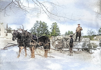 Hauling logs in East Fryeburg
